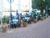 Molos Taverna