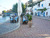Molos Taverna